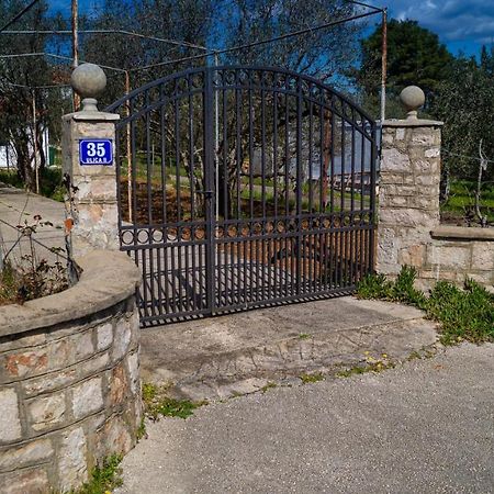 Vecchia oliva,Kuljica Villa Kukljica Esterno foto