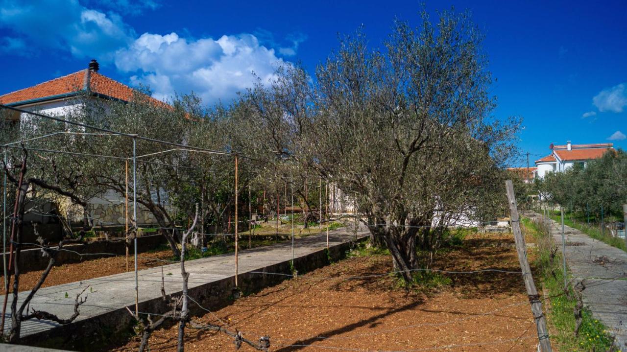 Vecchia oliva,Kuljica Villa Kukljica Esterno foto