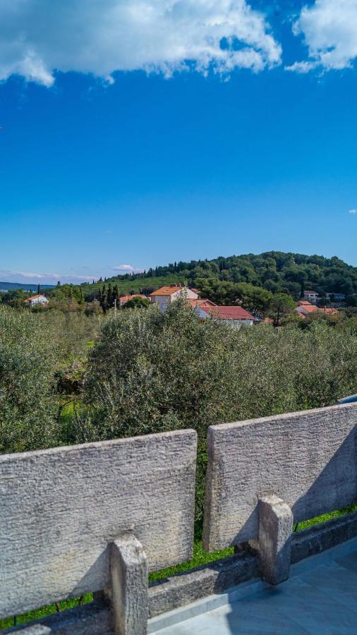 Vecchia oliva,Kuljica Villa Kukljica Esterno foto