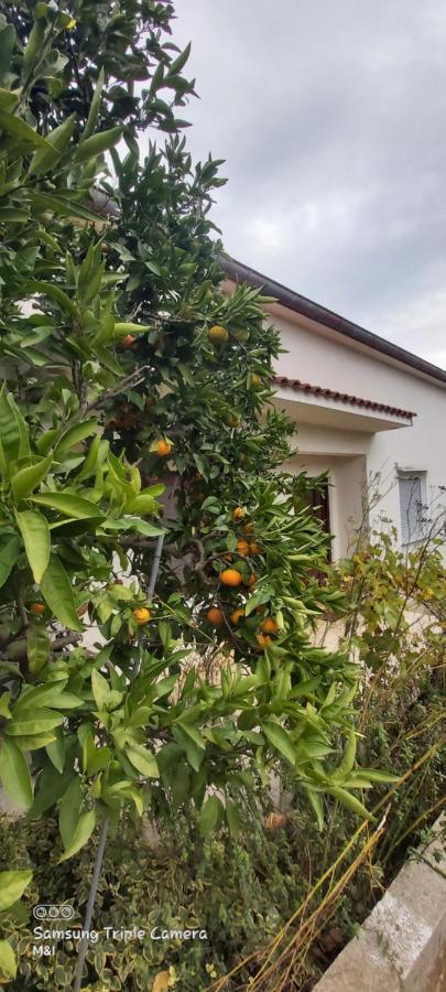 Vecchia oliva,Kuljica Villa Kukljica Esterno foto