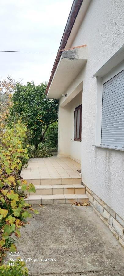 Vecchia oliva,Kuljica Villa Kukljica Esterno foto